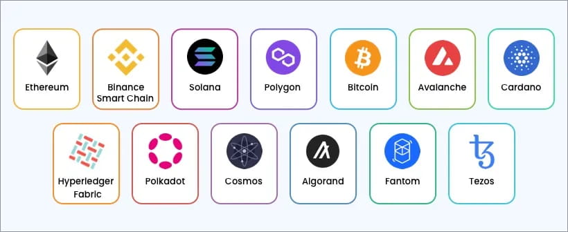 Blockchain Platforms: The Core of Crypto Exchanges
