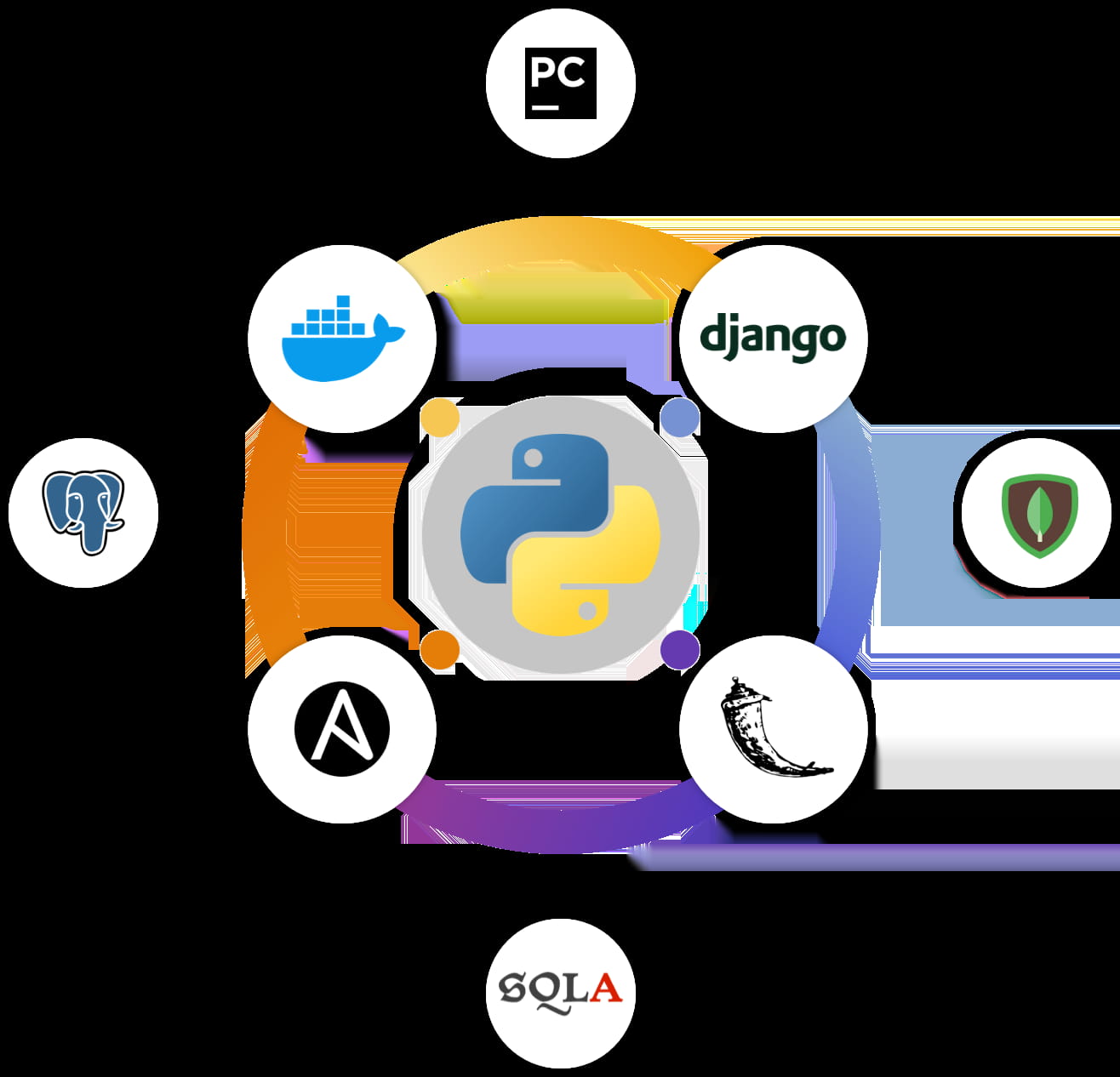 Why Bitcoin Wallet Development is Crucial for Your Business?