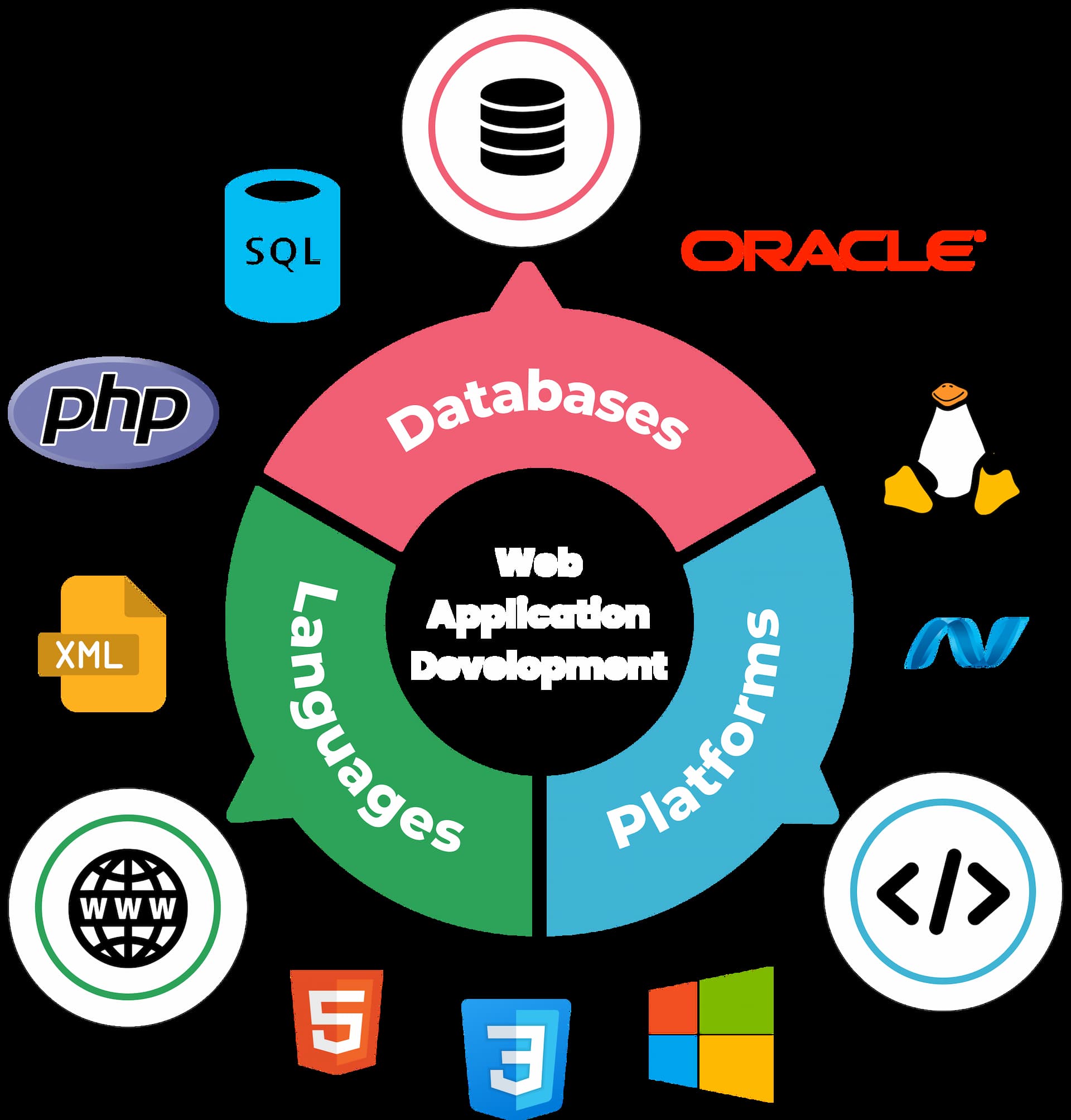 Web Application Development Company