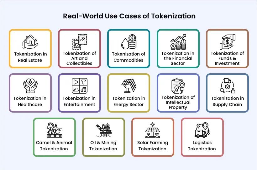 Exploring Diverse Real-World Use Cases of Tokenization