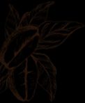 Result plant image