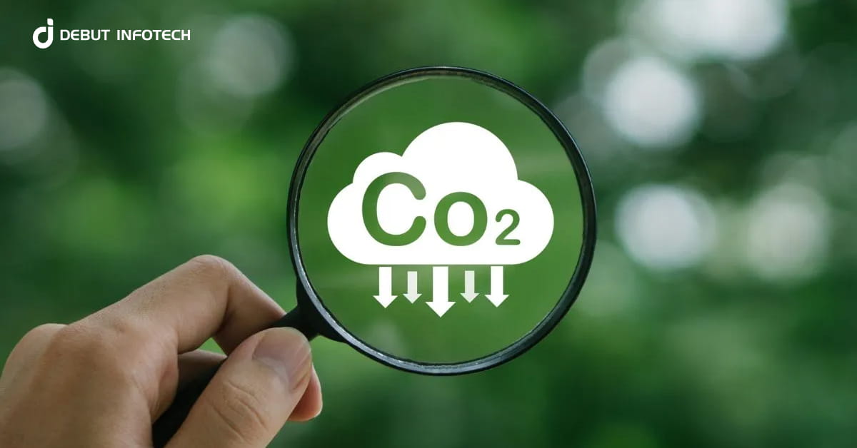 Carbon Tokenization: A Sustainable Path to Impact