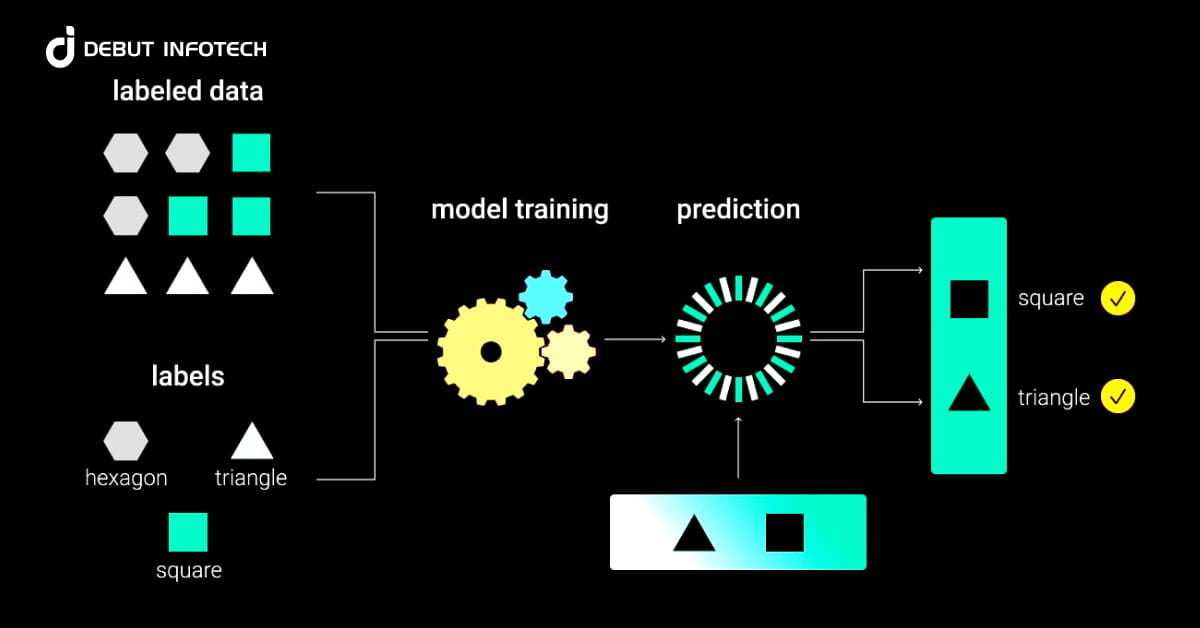 The Crucial Role of Data in ML Model Training
