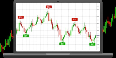 Cryptocurrency Exchange Software CTA