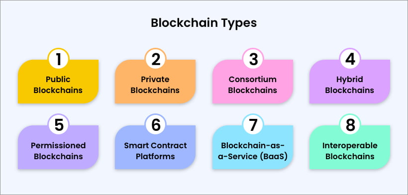 A Profound Exploration of Blockchain Types