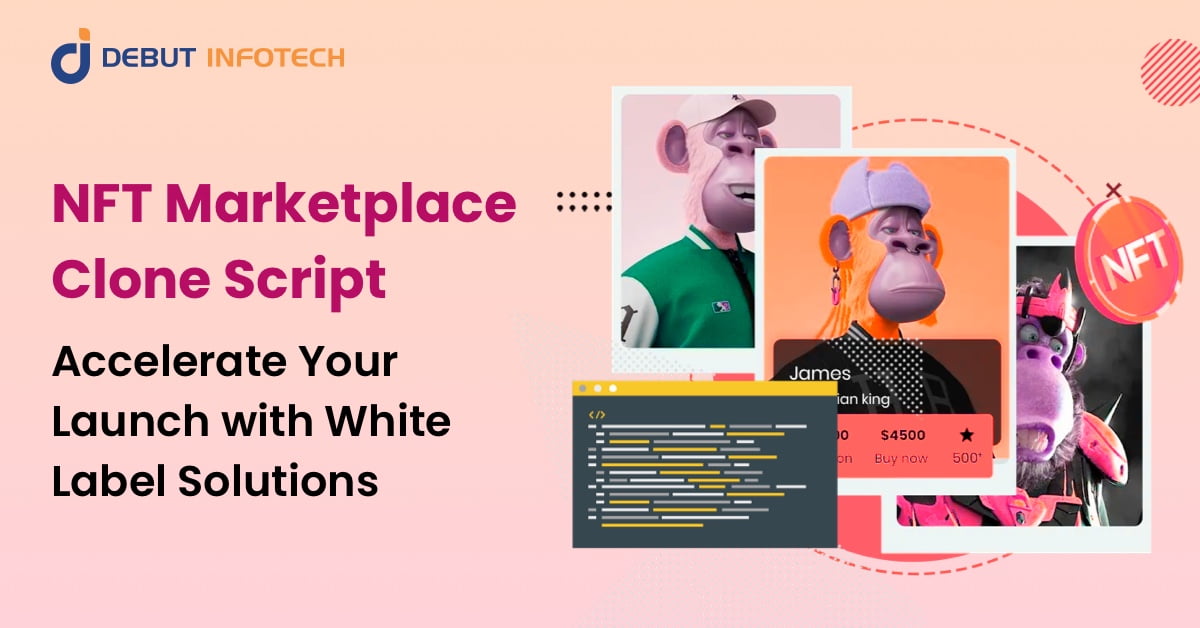 NFT Marketplace Clone Script: An In-Depth Guide