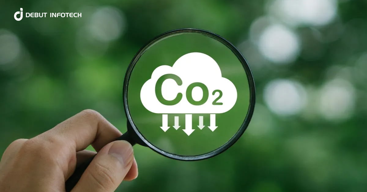 Carbon Tokenization: A Sustainable Path to Impact